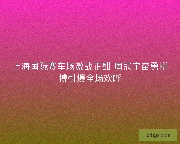 上海国际赛车场激战正酣 周冠宇奋勇拼搏引爆全场欢呼