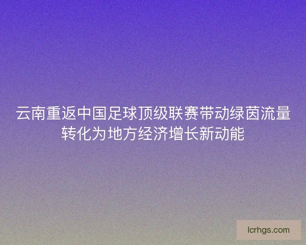 云南重返中国足球顶级联赛带动绿茵流量转化为地方经济增长新动能